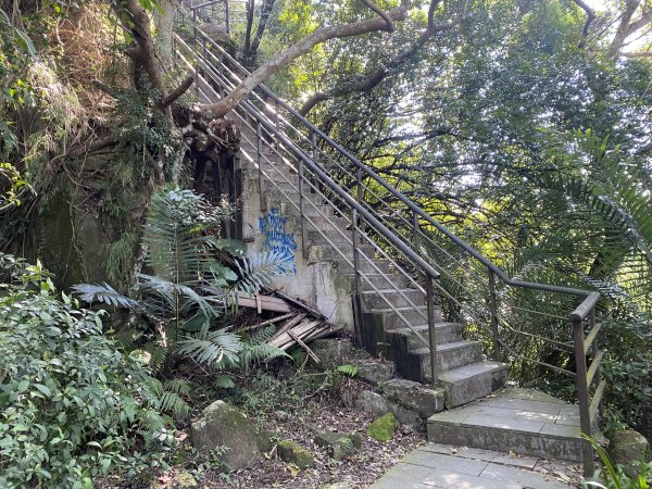 四獸山健走紀錄｜冬日九五峰健走｜福德街51巷起登 × 豹山溪步道下山2985888