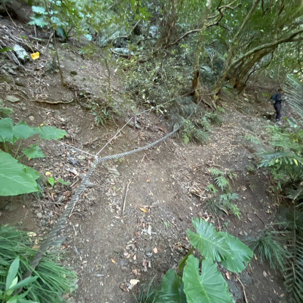 20251214_女仍山（屏東小百岳）2968705