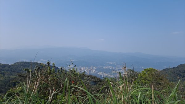 20240308汐止大尖山步道-四分尾山-耳空龜山2448660