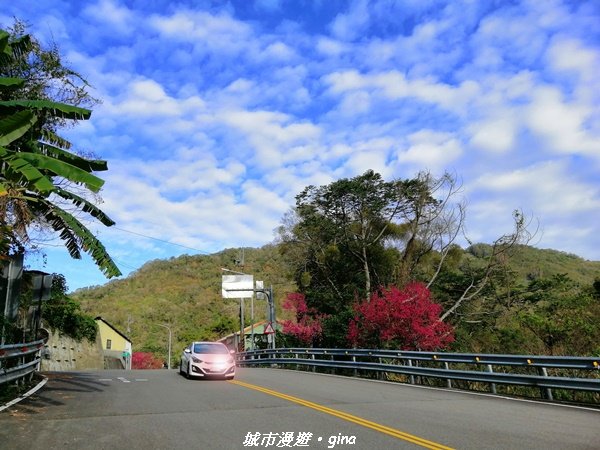 手腳並用之虎山行。 水雲三星~虎山步道1300649