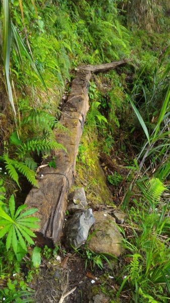 砂卡礑三雄304379