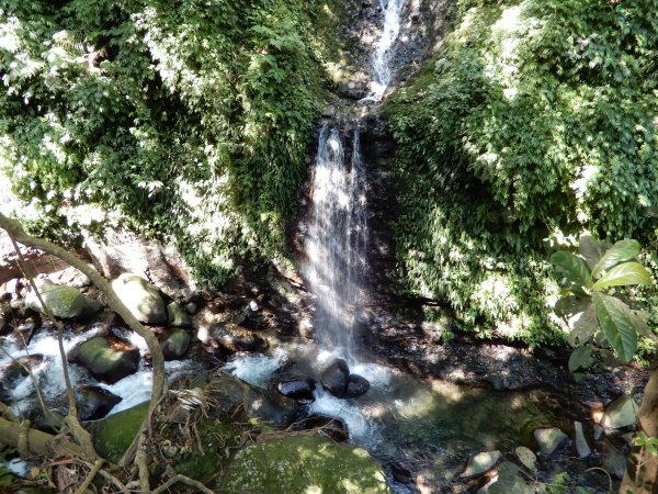 老梅冷泉/二坪頂古道/豬母屏山/青山瀑布417901