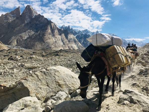 喀喇昆侖山K2基地營健行647904