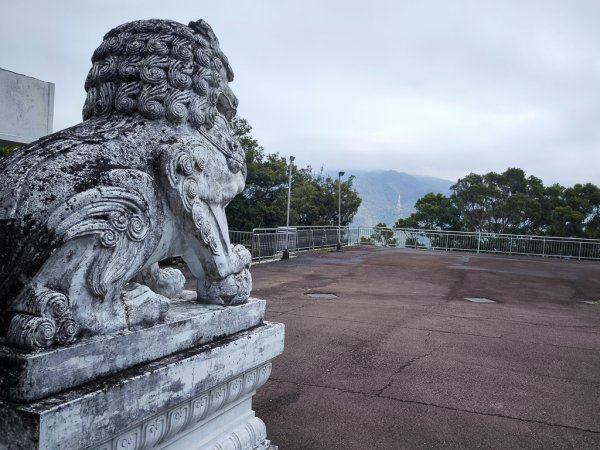 2025-03-08 汶水三山：金童山、汶水山、玉女山 連走2736580