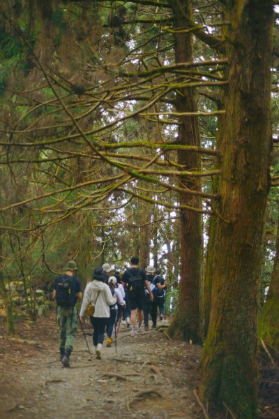 馬崙山步道2085816