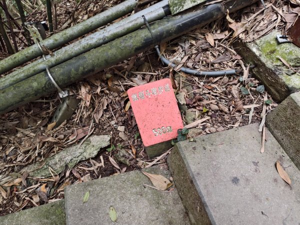 [百山百鳥尋旅-15/15] 2025_0929 硬漢嶺步道(觀音山)2900987