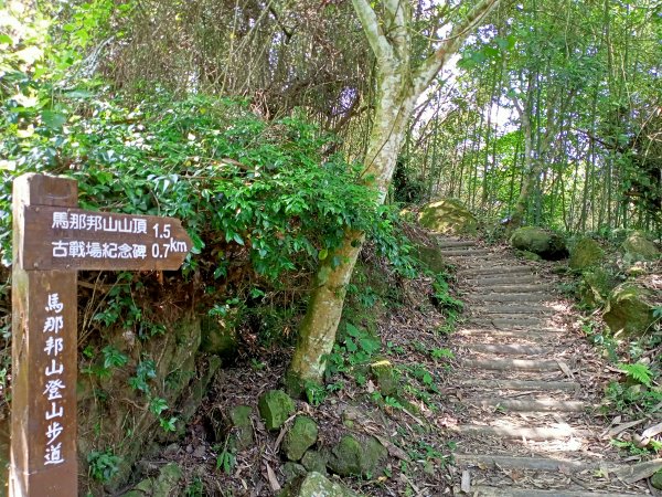 【苗栗-臺灣百大必訪步道】泰雅族抗日的馬那邦山登山步道1347684