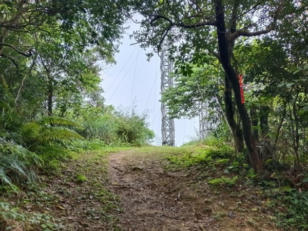 基隆市總督府(嶺)步(古)道-五坑山-五坑湖3038924