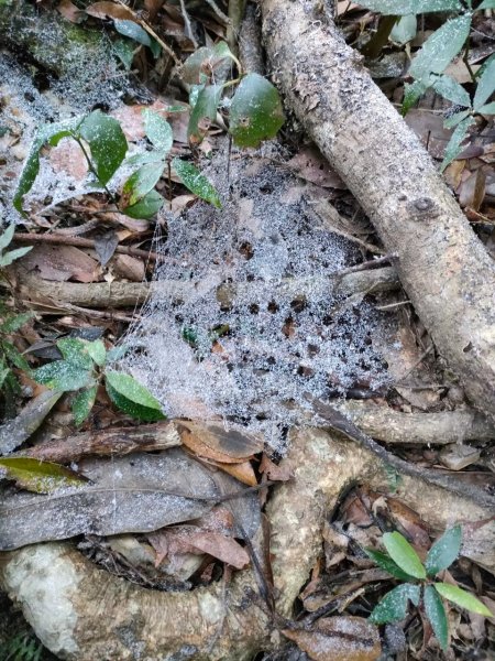 雪季北得拉曼2956378