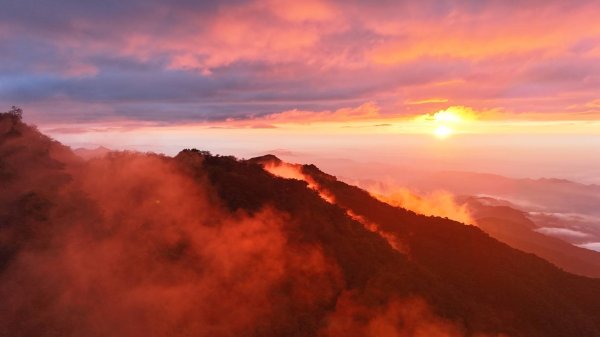 加里山大坪路線2660516