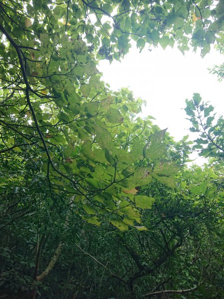 龜山島登頂-環湖-繞島1081204