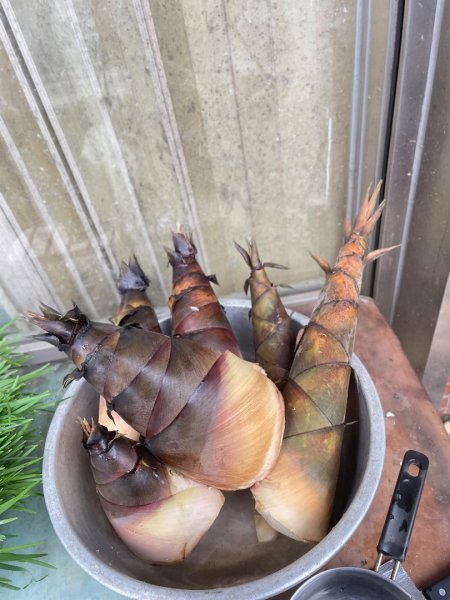 微笑山⛰️線-大棟-二格山-五分山-天上山-鳶山💎12條步道完成💙2834125