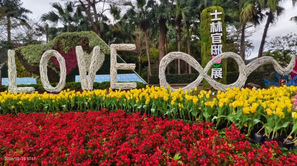 #士林官邸 #鬱金香 #中正紀念堂 #大漁櫻 2/283007871