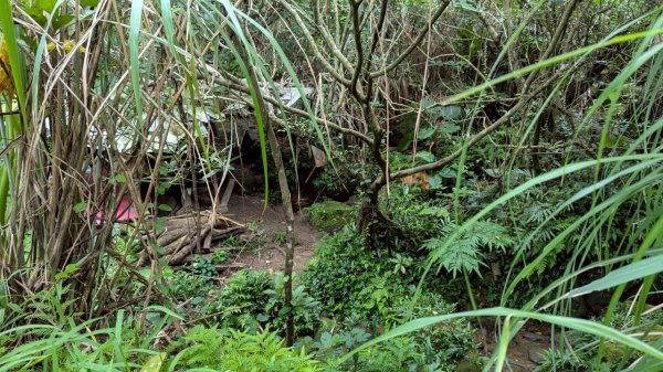 114.06.08門牙岩之O型2806615