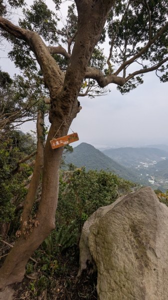 113.12.28小鷹尖-關山嶺-五八山-凌雲尖-龍女岩之旅2679378