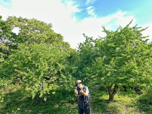 20250417小百岳🤣烏山 刣牛湖山縱走2764712