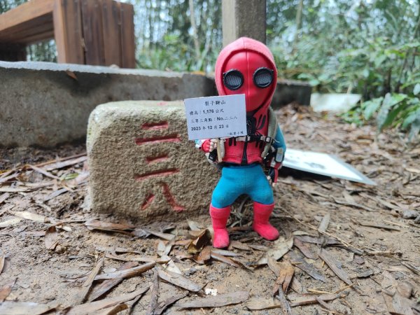 2023.12.23 梨子腳山2833272