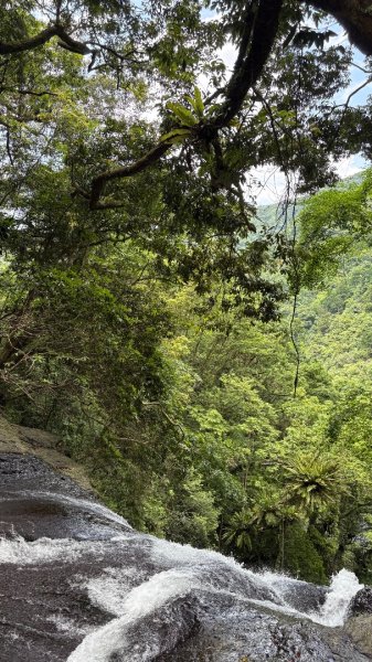 戲水（耘雲姊2786104