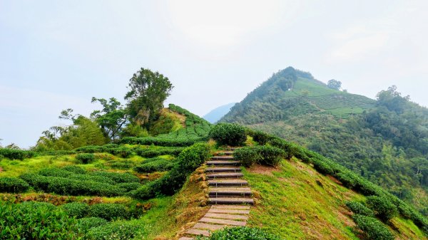 雲嘉五連峰2948643