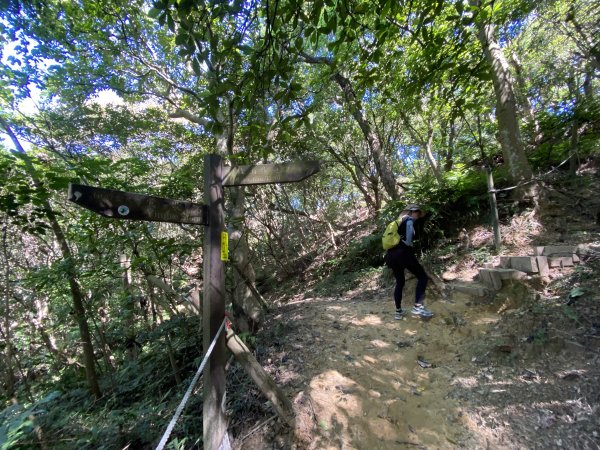 2025微笑山線大縱走尋寶集章任務-Ep.02【大棟山系】百年大榕樹2882275