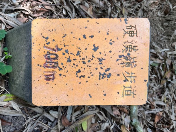 觀音山硬漢嶺2081849