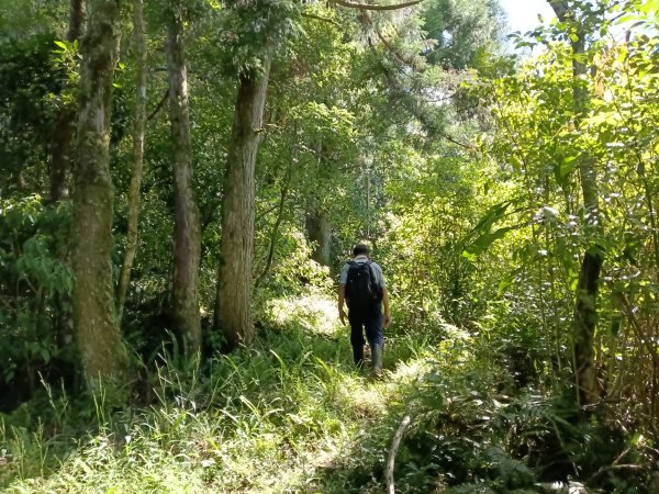 坪林區南豹子廚山+豹子廚古道+北豹子廚山2900480