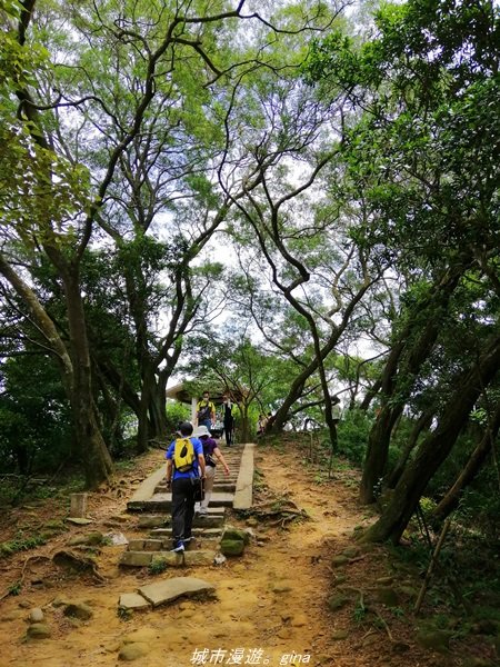 【新竹。芎林】綠蔭成徑。 小百岳集起來。編號27小百岳-中坑山x飛鳳山1443356