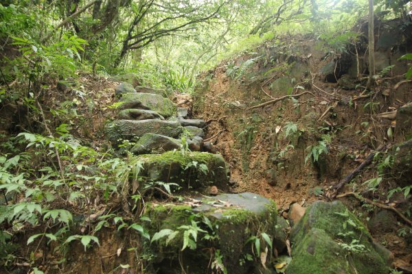 淡蘭古道北路坐山望海1253883