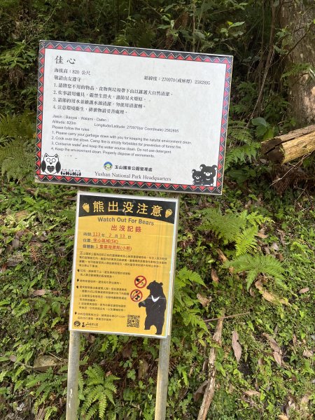 [玉山尋寶任務-03/12] 2025_0810 瓦拉米步道2857553