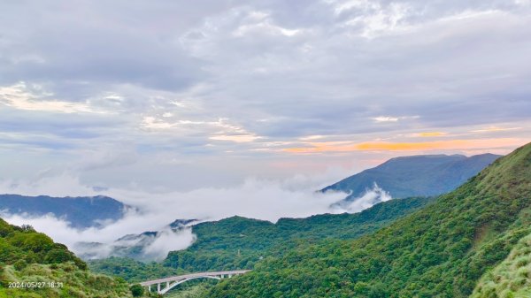 金山灣雨瀑+漁火點點，追花是簡單的快樂，賞花是恬淡的幸褔2513395