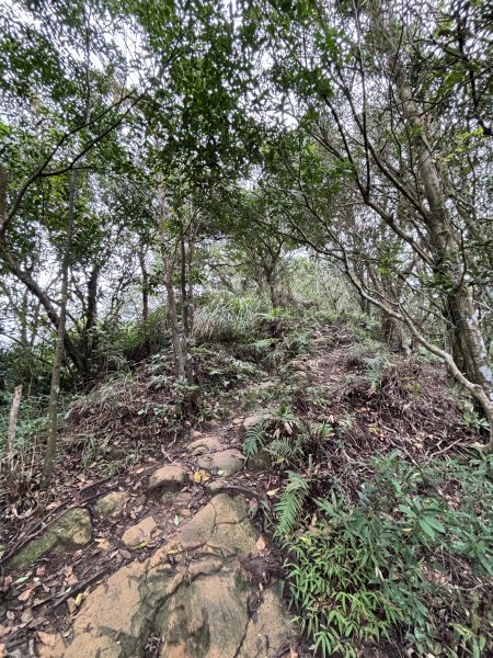 二格山、南邦寮山2941697