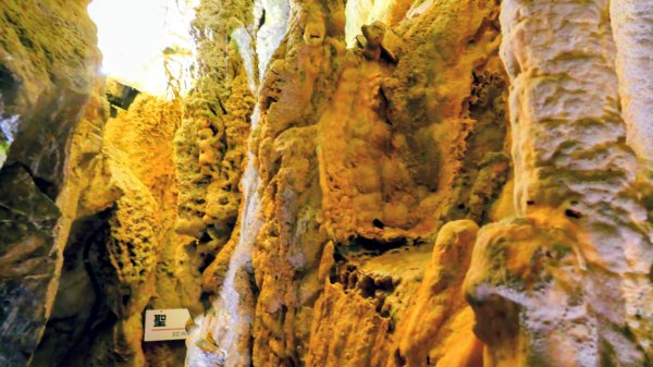 地心年輪之飛驒大鐘乳石洞2982440