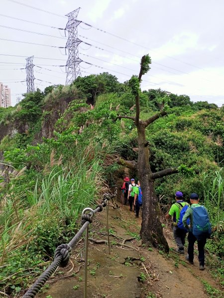 【白金縱走】內湖白鷺鷥山→汐止金龍湖（2-2 新北市汐止區 油桐嶺→金龍湖）1702387