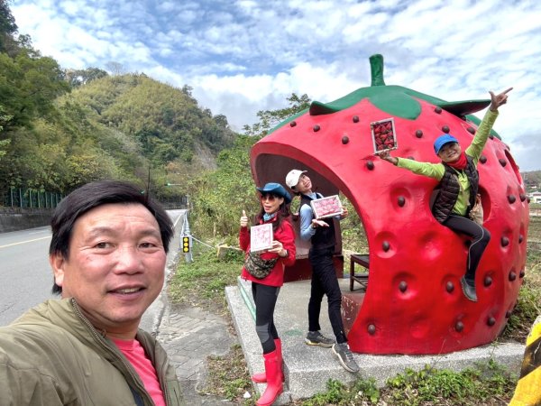 小百岳馬那邦山(H1407m)加碼採草莓2694718