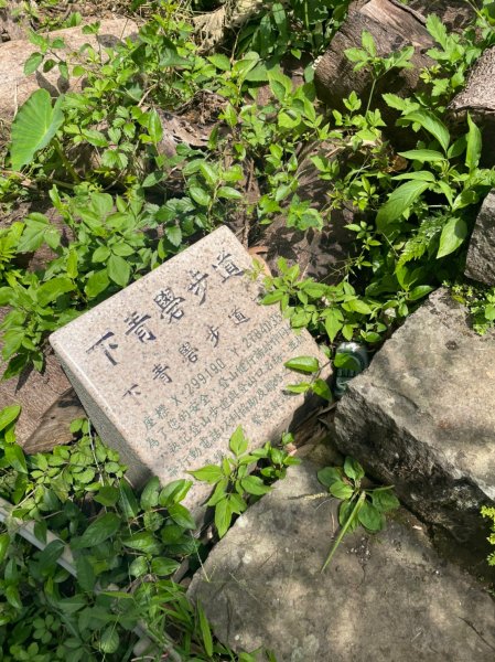 台北｜北投．士林 臺北大縱走第一段1487837