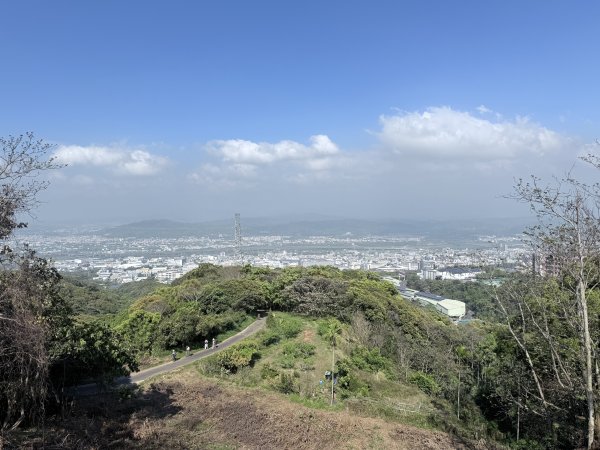 草尾嶺步道血藤花大爆開    2025.3.272748138