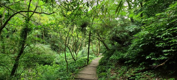 日月洞往永寧1067172