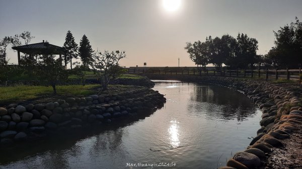 《台中》海濱夕陽｜龜殼生態公園連走大安紅樹林生態步道202410202632393