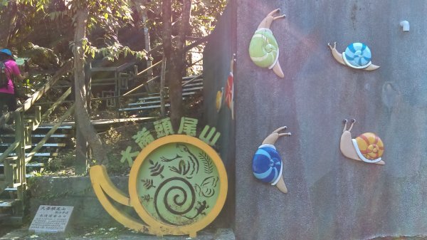 【臺北親山拓印趣】林蔭青蔥的大崙頭尾山738360