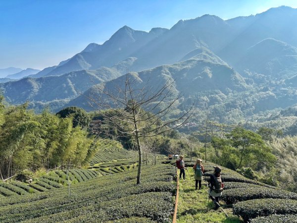 溪頭六連峰O繞2741746