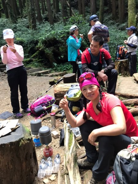 【阿里山】特富野古道1093764