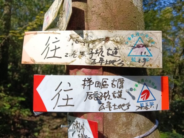 雙溪區大平林山+后番子坑古厝+后番子坑山+武山煤礦事務所+焦炭窯O型2988525