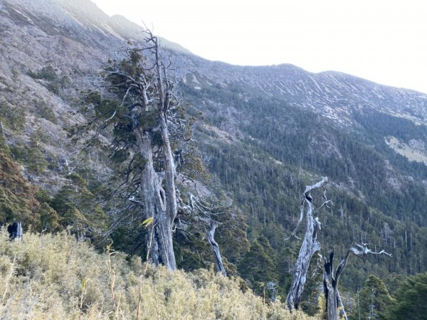 玉山後四峰二日遊810095