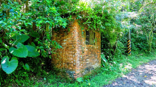 中坑古道東山西山2896457