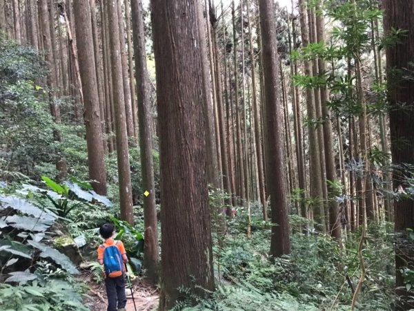 加里山鹿野線461356