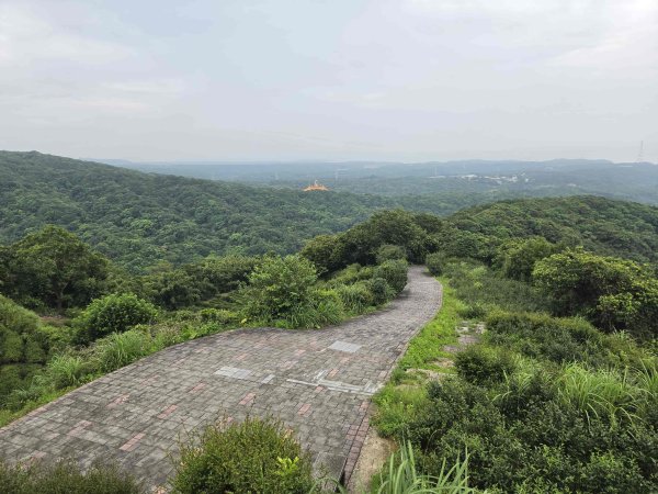 20260730茶山步道-五爪崙山-半嶺山-倒照湖山（未果）3098789