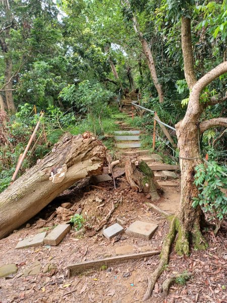 【台中北屯】南觀音山步道2933197