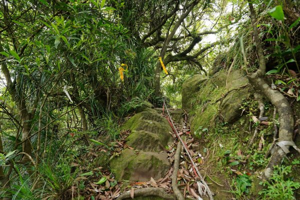 新北 石碇 皇帝殿西峰、串空湖山2479165