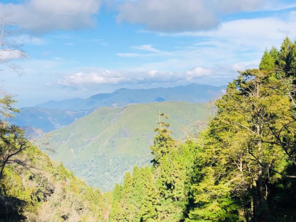 1090122檜山巨木群步道815616