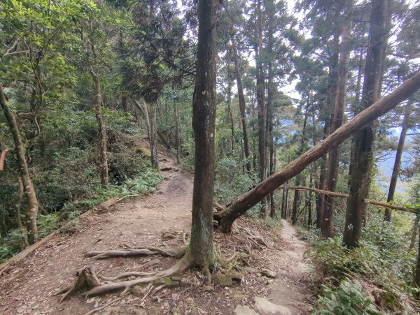 2025.01.18－仙山步道2706102